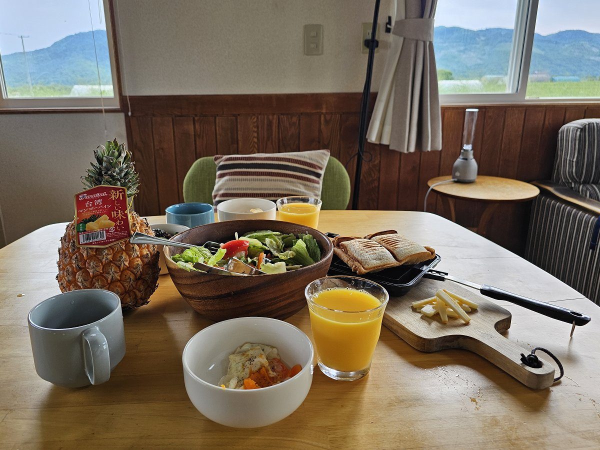 木桌上擺滿早餐:整顆鳳梨、蔬菜沙拉、兩杯柳橙汁、烤三明治與起司條,背景木窗外可見遠山與草原景色。